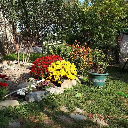 Mtsʼkhetʼa Old House Apartment With Garden Area מראה חיצוני תמונה