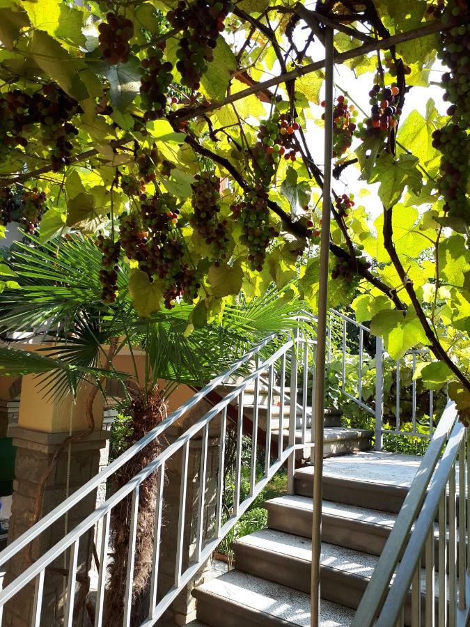 Mtsʼkhetʼa Old House Apartment With Garden Area מראה חיצוני תמונה